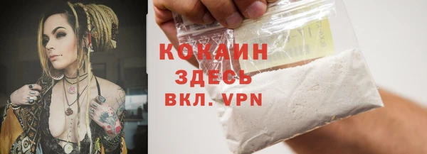 соль ск Алексеевка