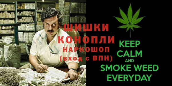 прущий лед Алексин