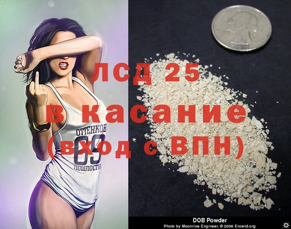 крисы Алзамай