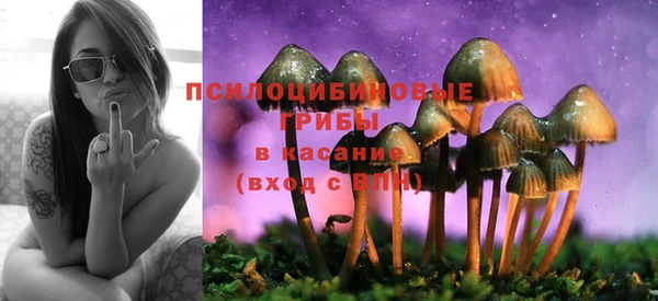 прущий лед Алексин
