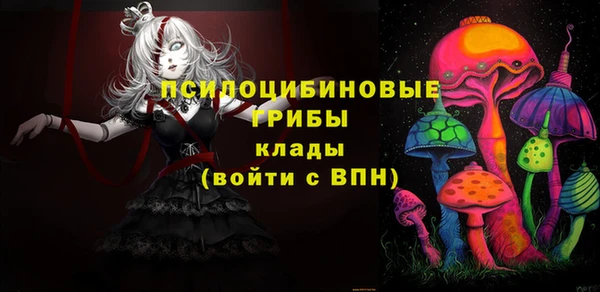 прущий лед Алексин